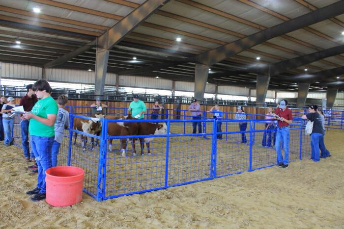 People standing around a cow pen in a covered arena.